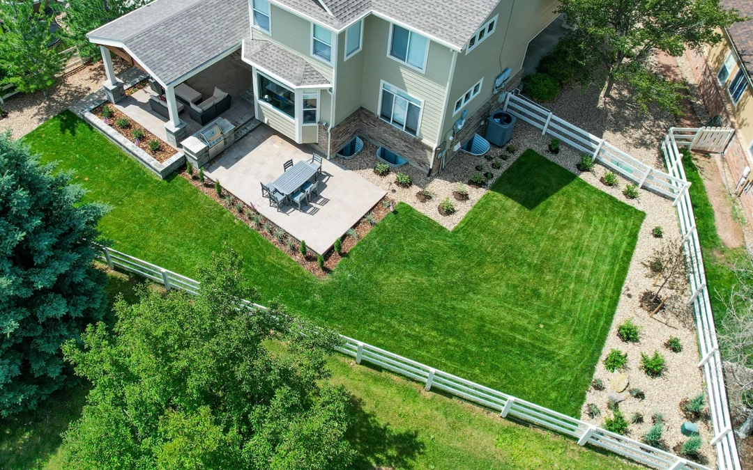 Keeping Plantings Alive Through a Front Range Summer